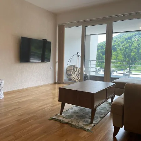 Mountain View * Bjelašnica