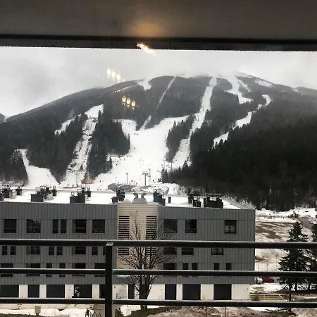Mountain View *